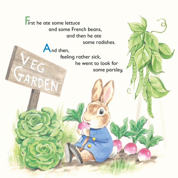 Tale of Peter Rabbit (Picture Book)