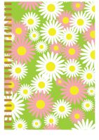 Daisy Blooms