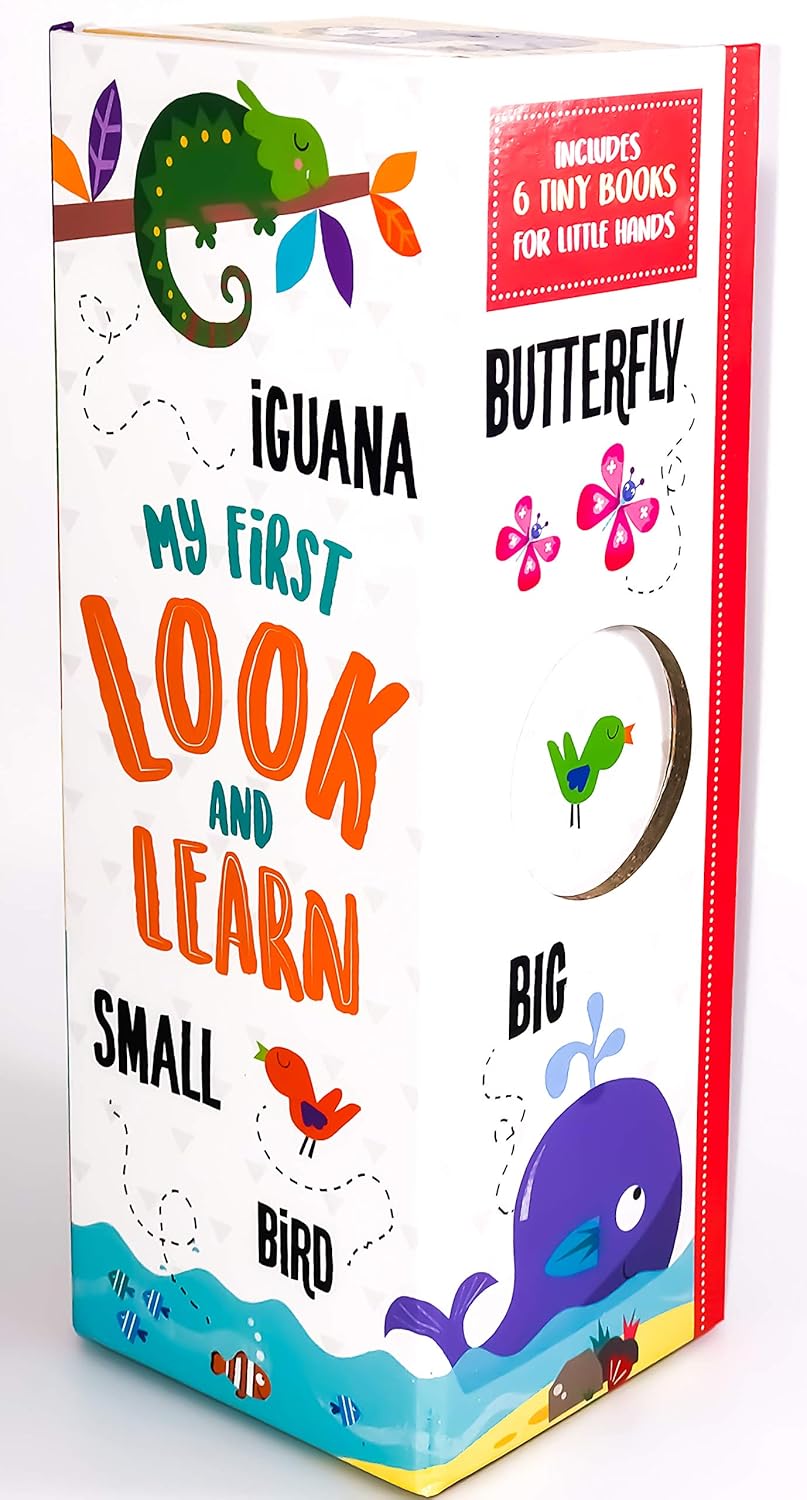 MY FIRST LOOK AND LEARN (Box Set of 6)