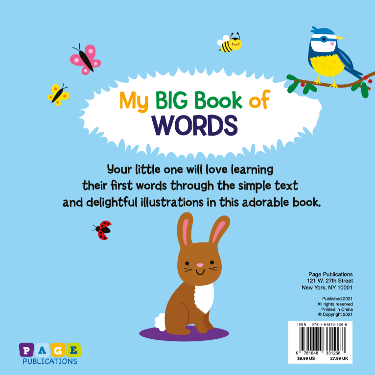 My Big Book of Words (Picture Book)