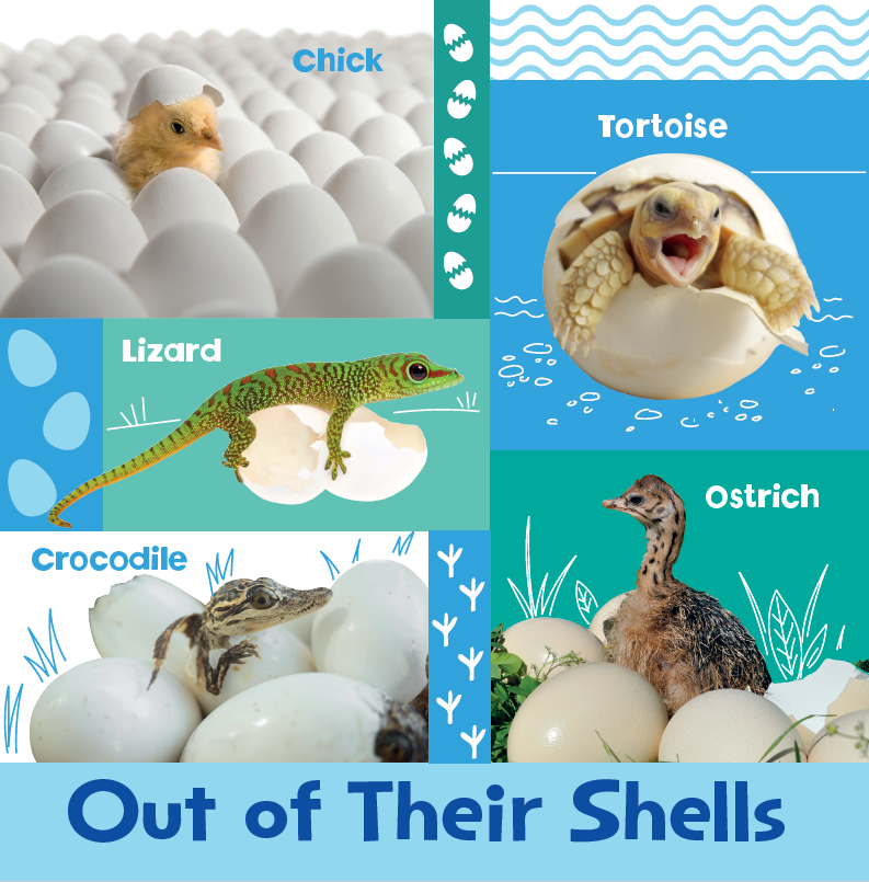Look and Learn: Baby Animals (Board Book)