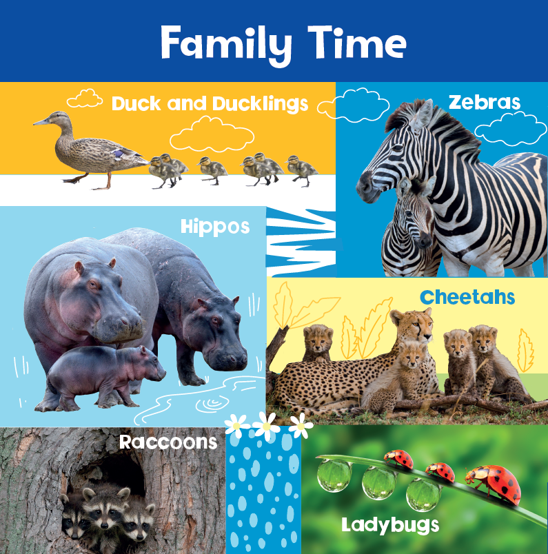 Look and Learn: Baby Animals (Board Book)