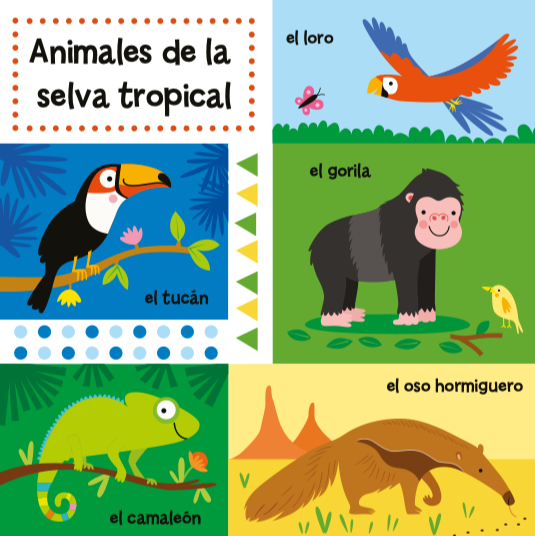 Mi Gran Libro de Animales (Picture Book)