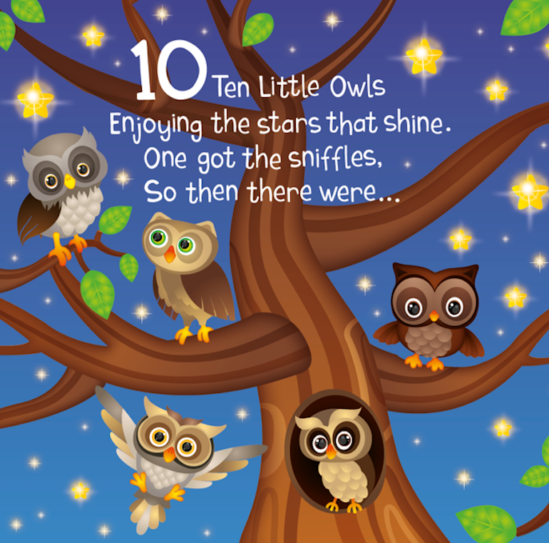 Ten Little Owls (Picture Book)