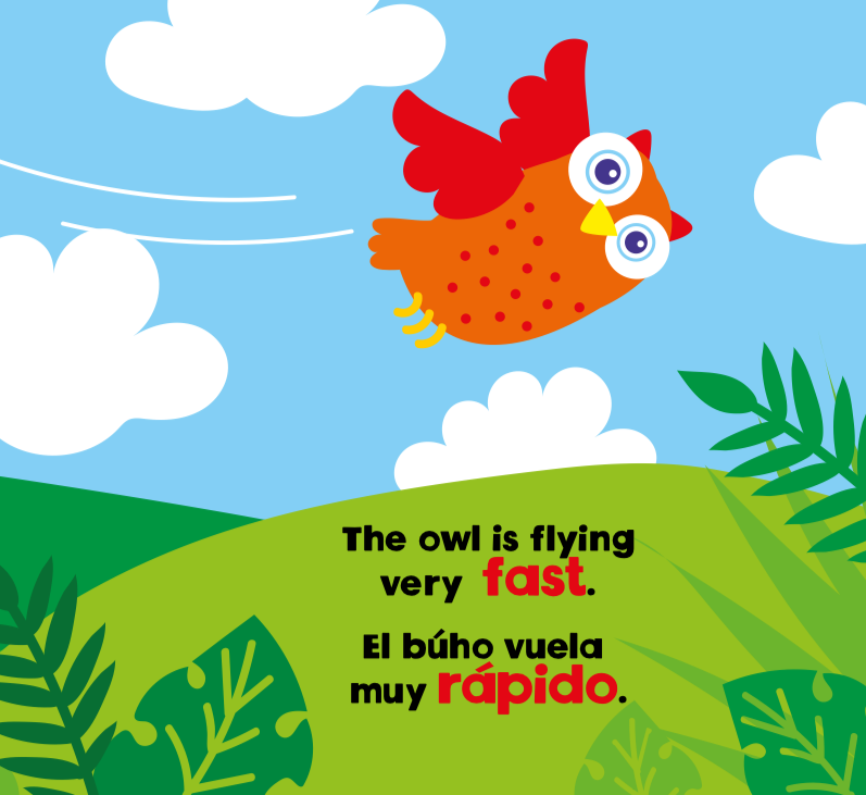 My First Opposites Spanish / Eng (Picture Book)