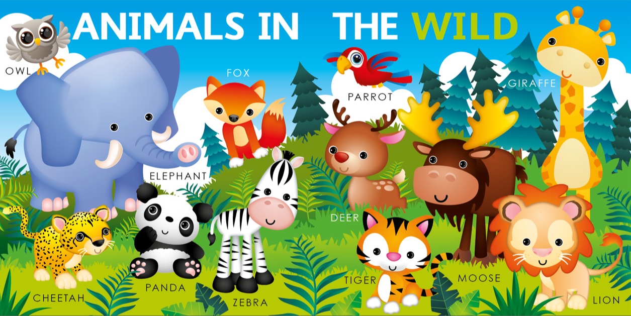 My First Words (Picture Book)