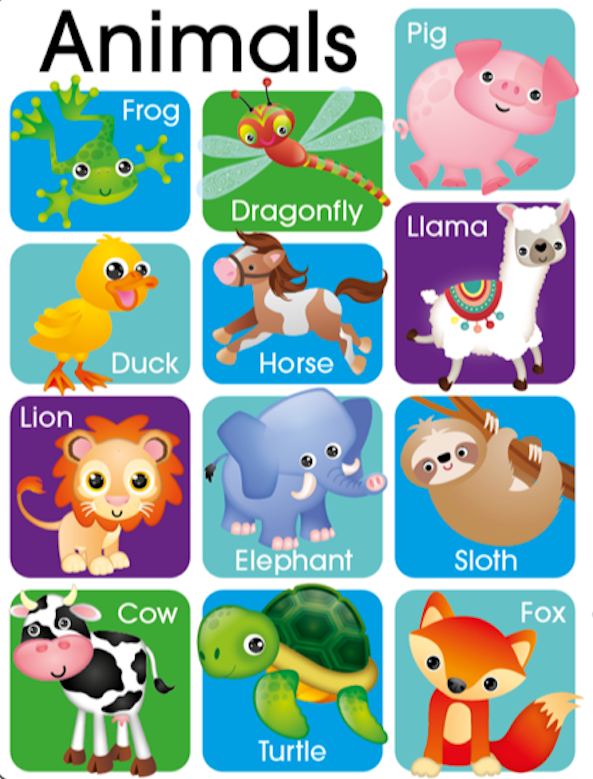 Touch and Feel 100 First Words