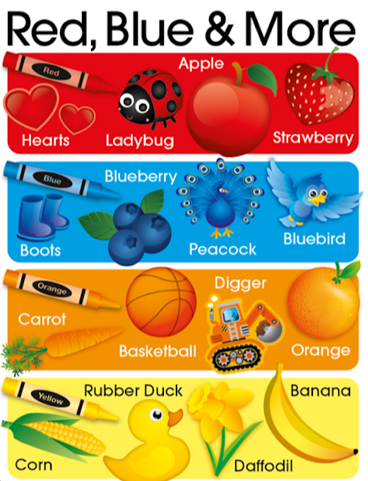 Touch and Feel 100 First Words