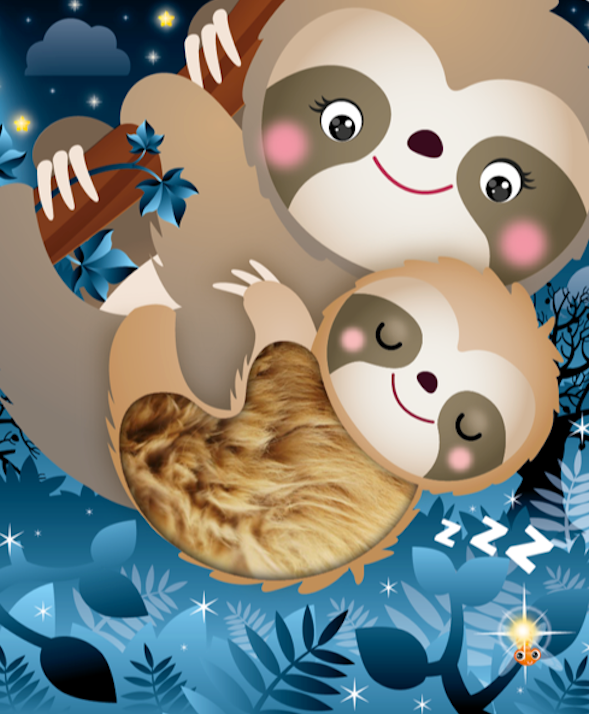 Touch and Feel If I Were a Sloth