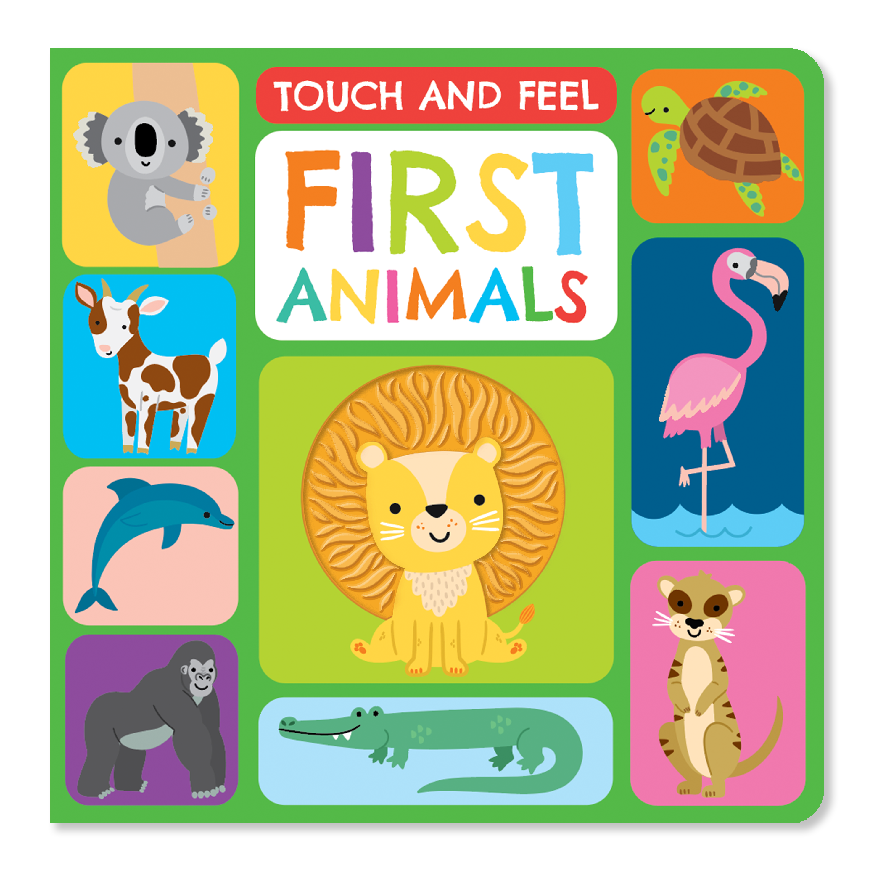 Touch and Feel: First Animals