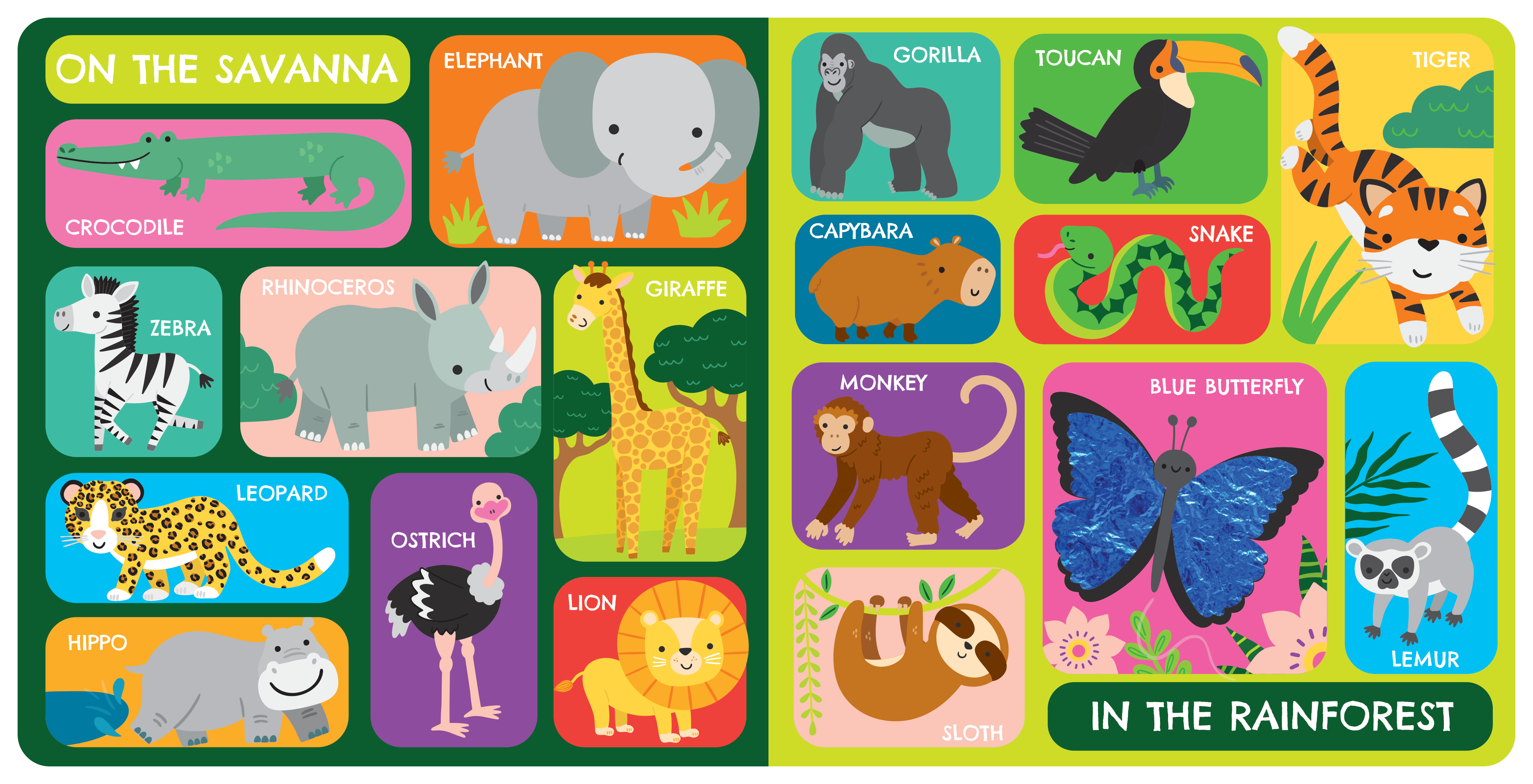 Touch and Feel: First Animals