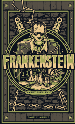 Frankenstein Mary Shelley (Hard Cover)