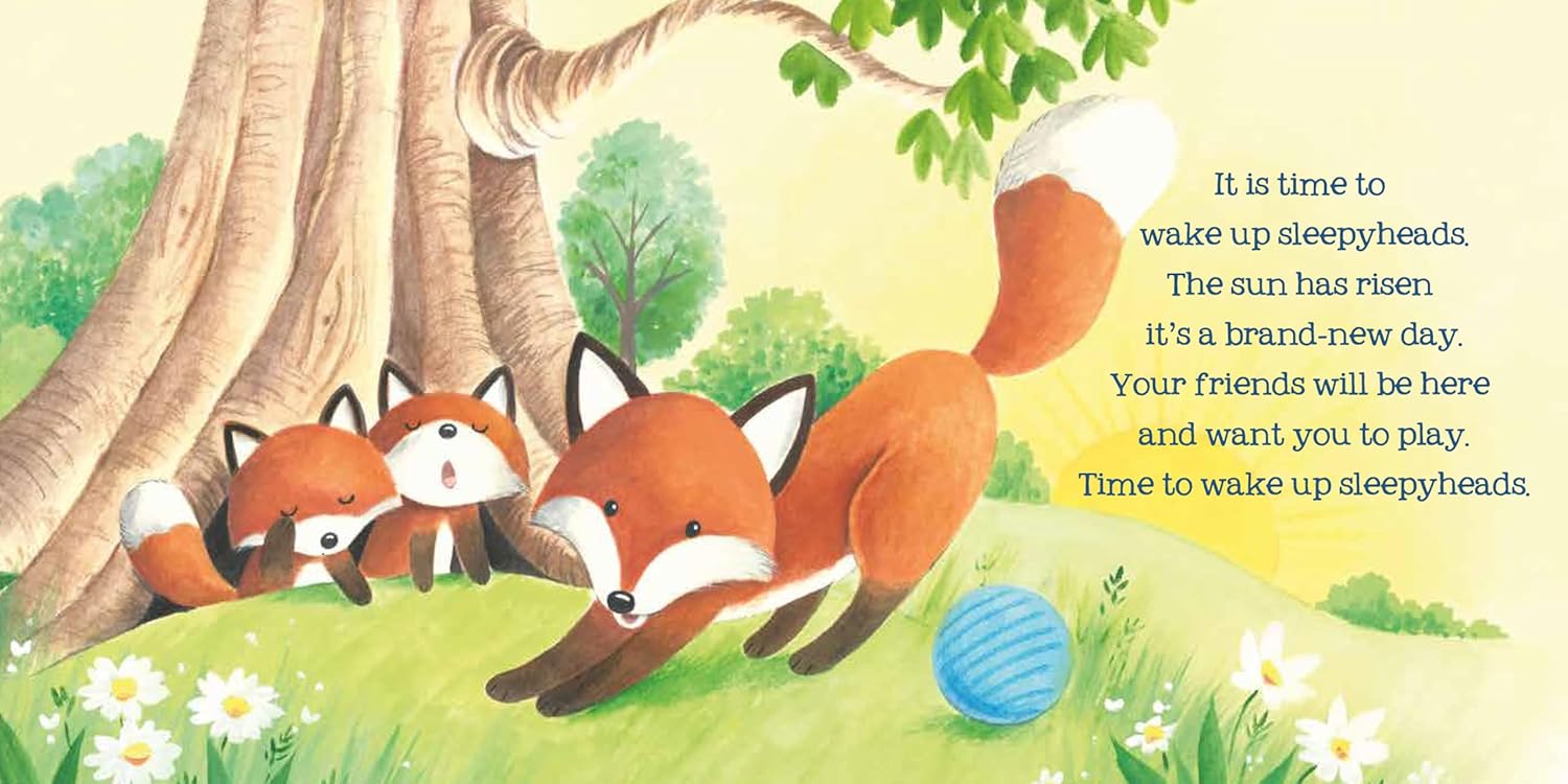 WAKE UP SLEEPYHEAD (Board Book)