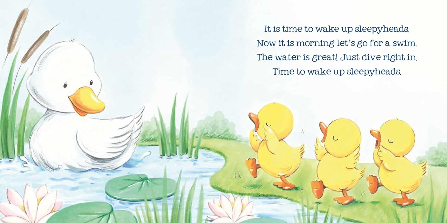 WAKE UP SLEEPYHEAD (Board Book)