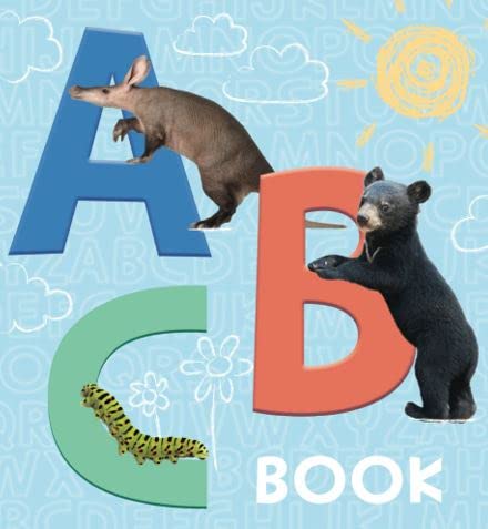 ABC Book (Board Book)