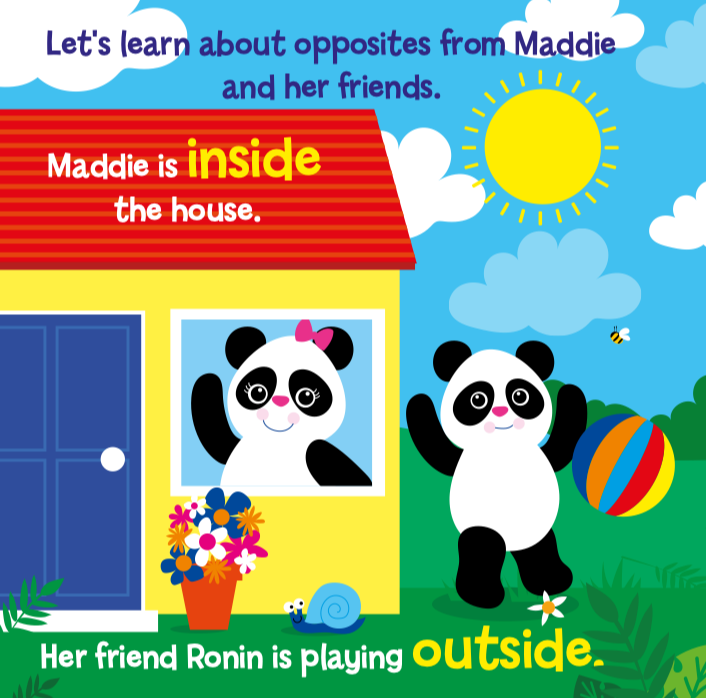 Opposites & More (Picture Book)