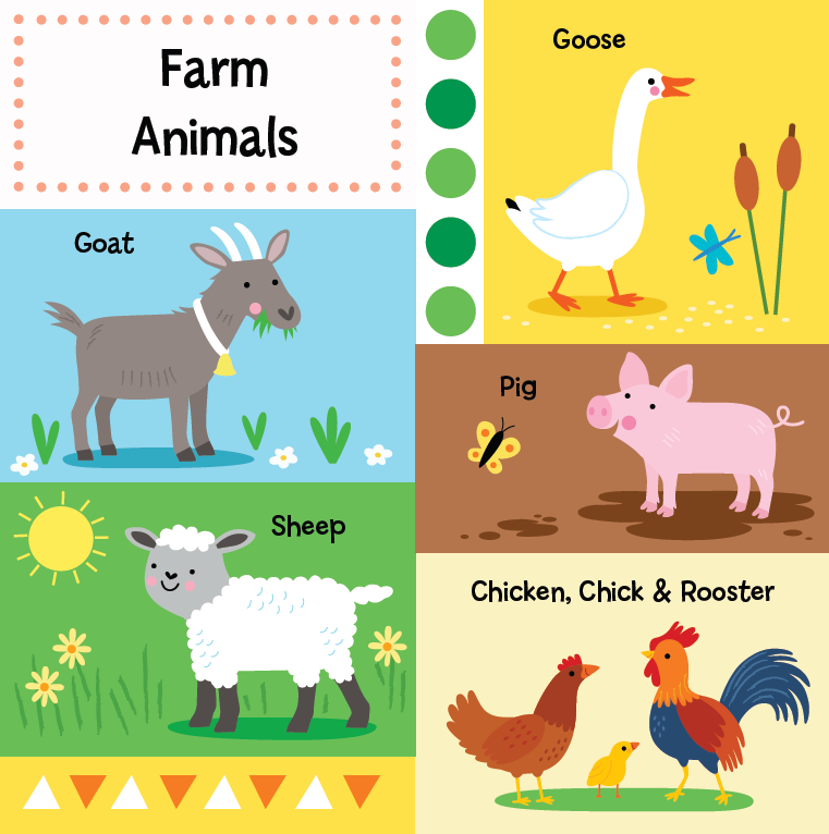 My Big Book of Animals (Board Book)