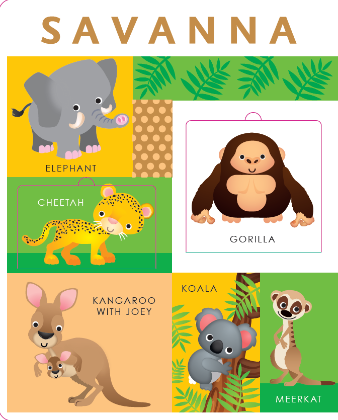 Lift the Flap: First Animals