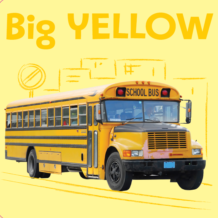 First Colors Book (Board Book)