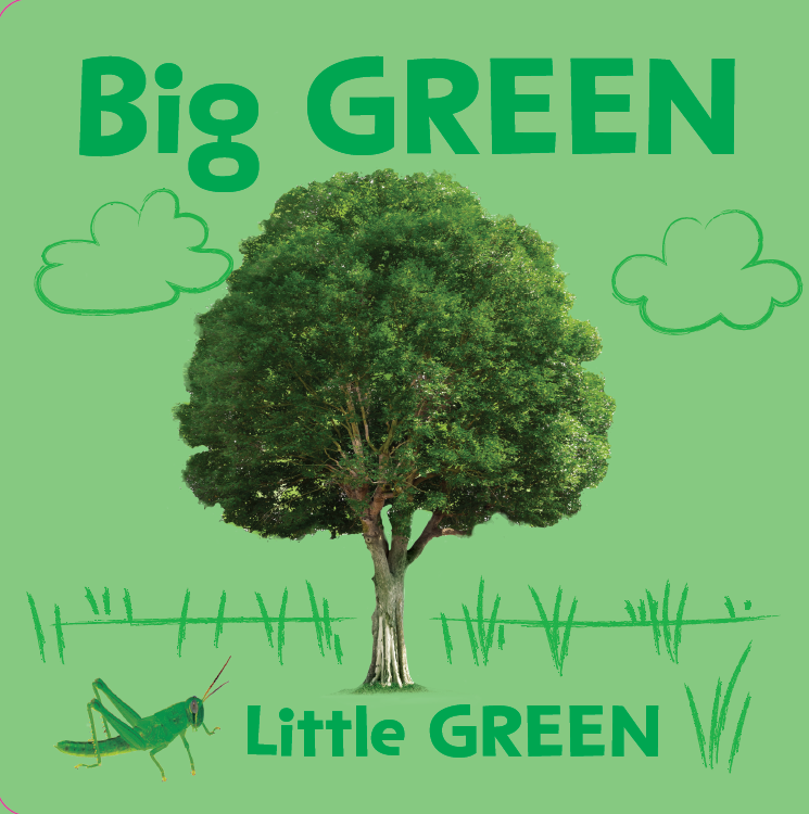 First Colors Book (Board Book)