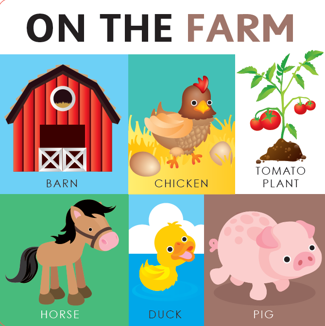 My First Words (Board Book)