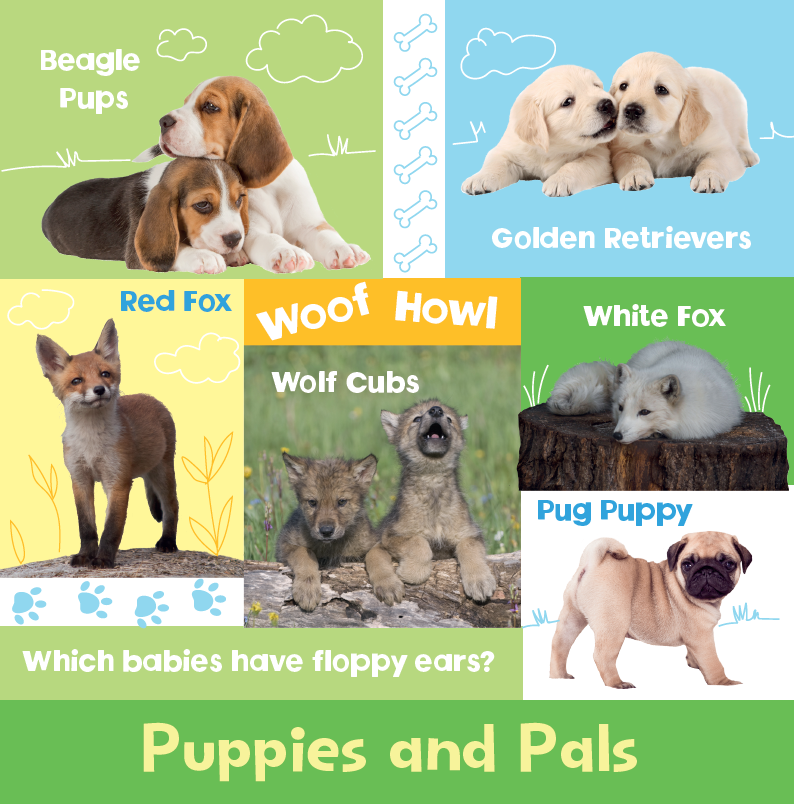 Look and Learn: Baby Animals (Board Book)