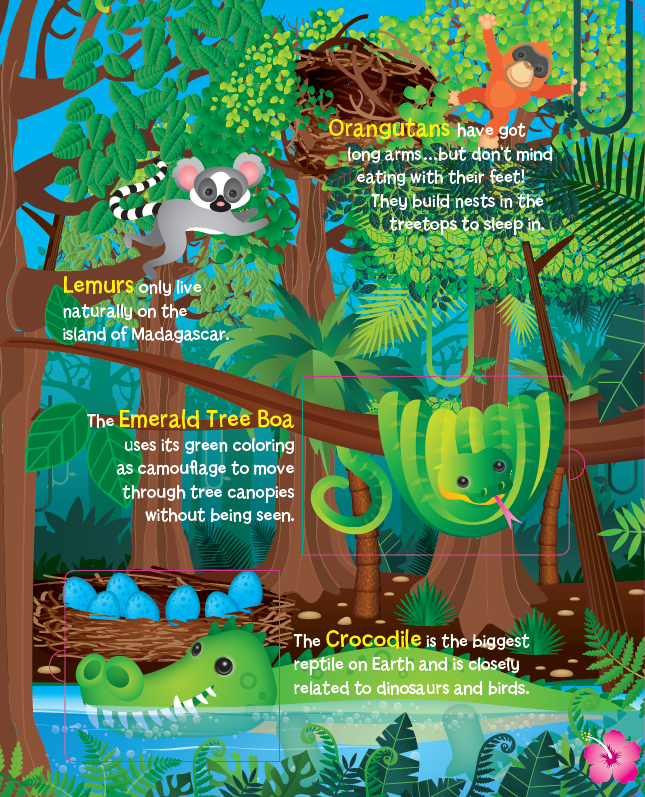 Lift the Flap: Learn About Animals