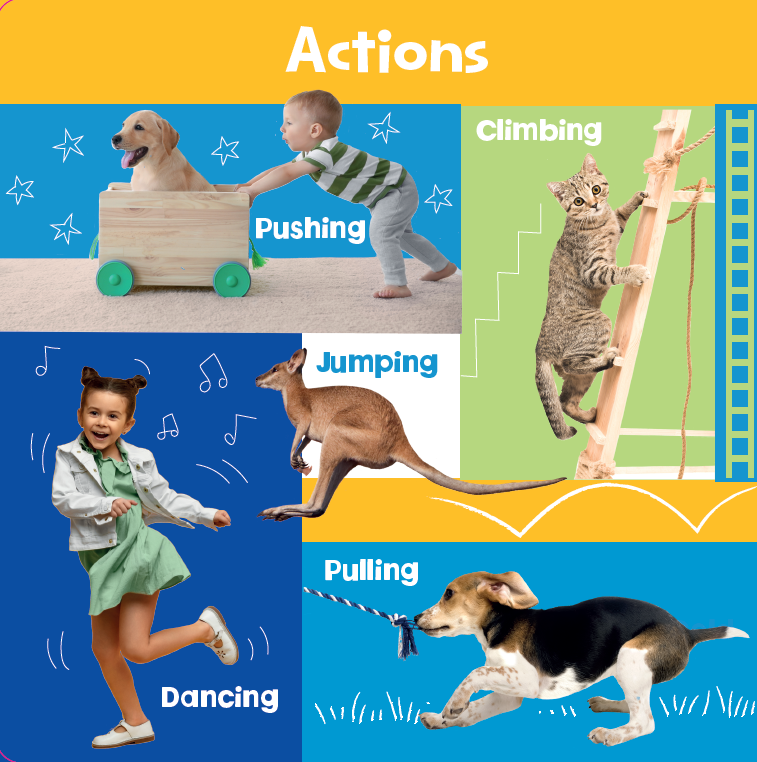 Look and Learn First Words Page Publications