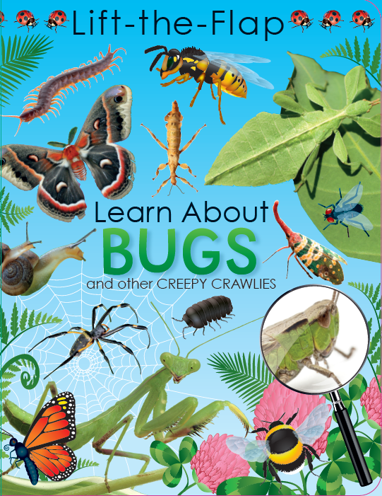 Lift the Flap: Learn About Bugs and Other Creepy Crawlies