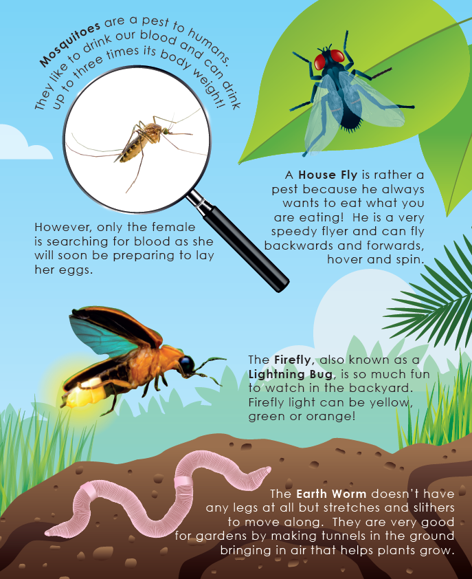 Lift the Flap: Learn About Bugs and Other Creepy Crawlies