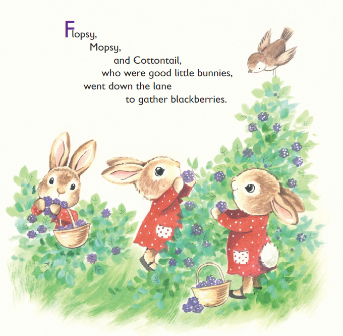 The Tale of Peter Rabbit (Board Book)