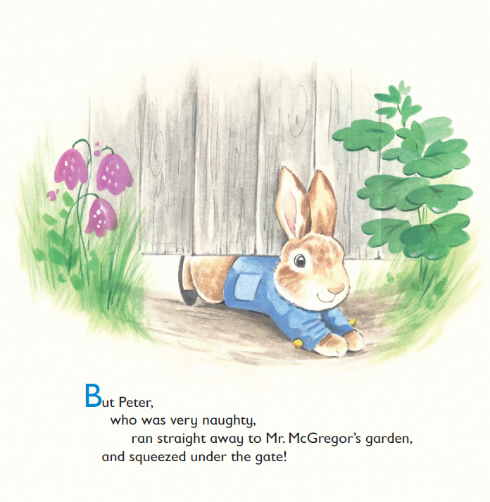 The Tale of Peter Rabbit (Board Book)