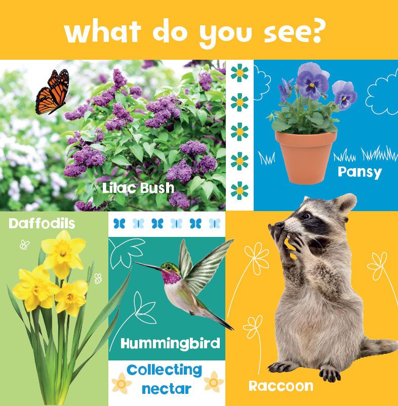 Look and Learn: Nature (Board Book)
