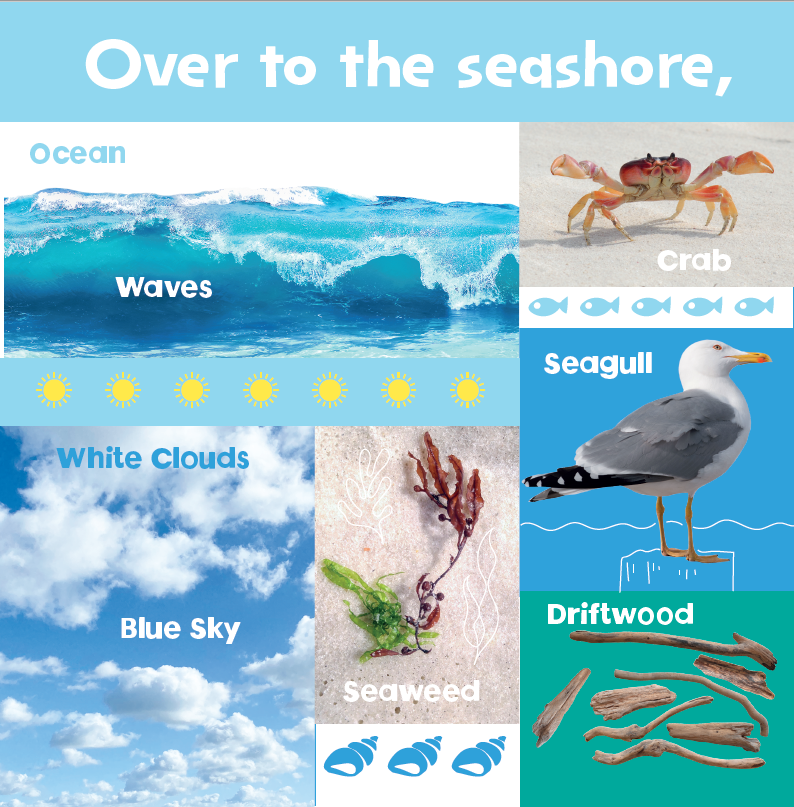 Look and Learn: Nature (Board Book)