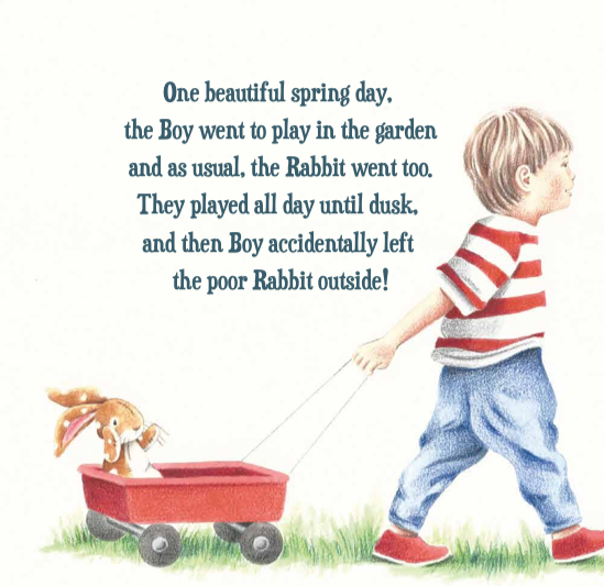 Velveteen Rabbit (Picture Book)