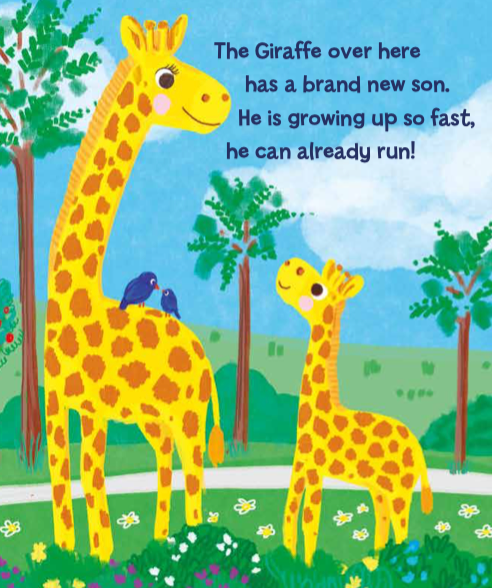 Day at the Zoo (Board Book)