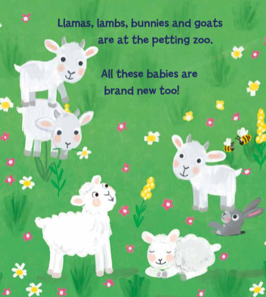 Day at the Zoo (Board Book)