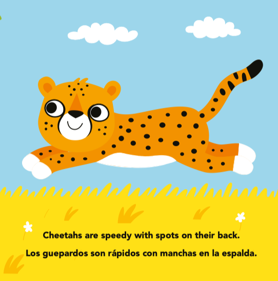 My First Zoo Animals/Mis primeros animales del zoologico (Picture Book)