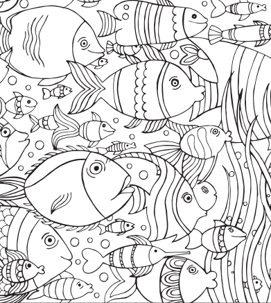 Patterns in Nature Coloring Book