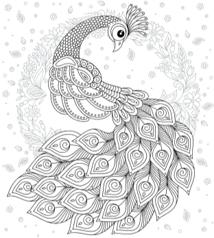 Patterns in Nature Coloring Book