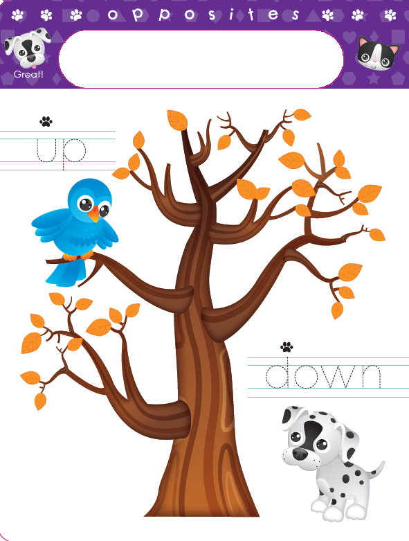 Write and Wipe: Shapes, Opposites and More