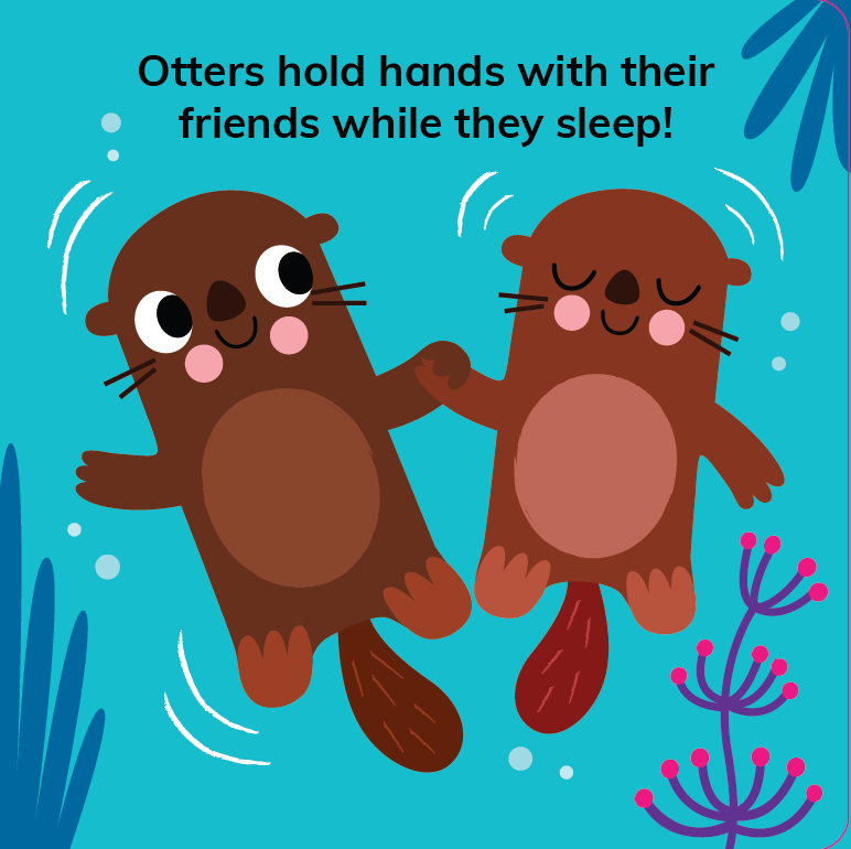 My First Zoo Animals (Board Book)