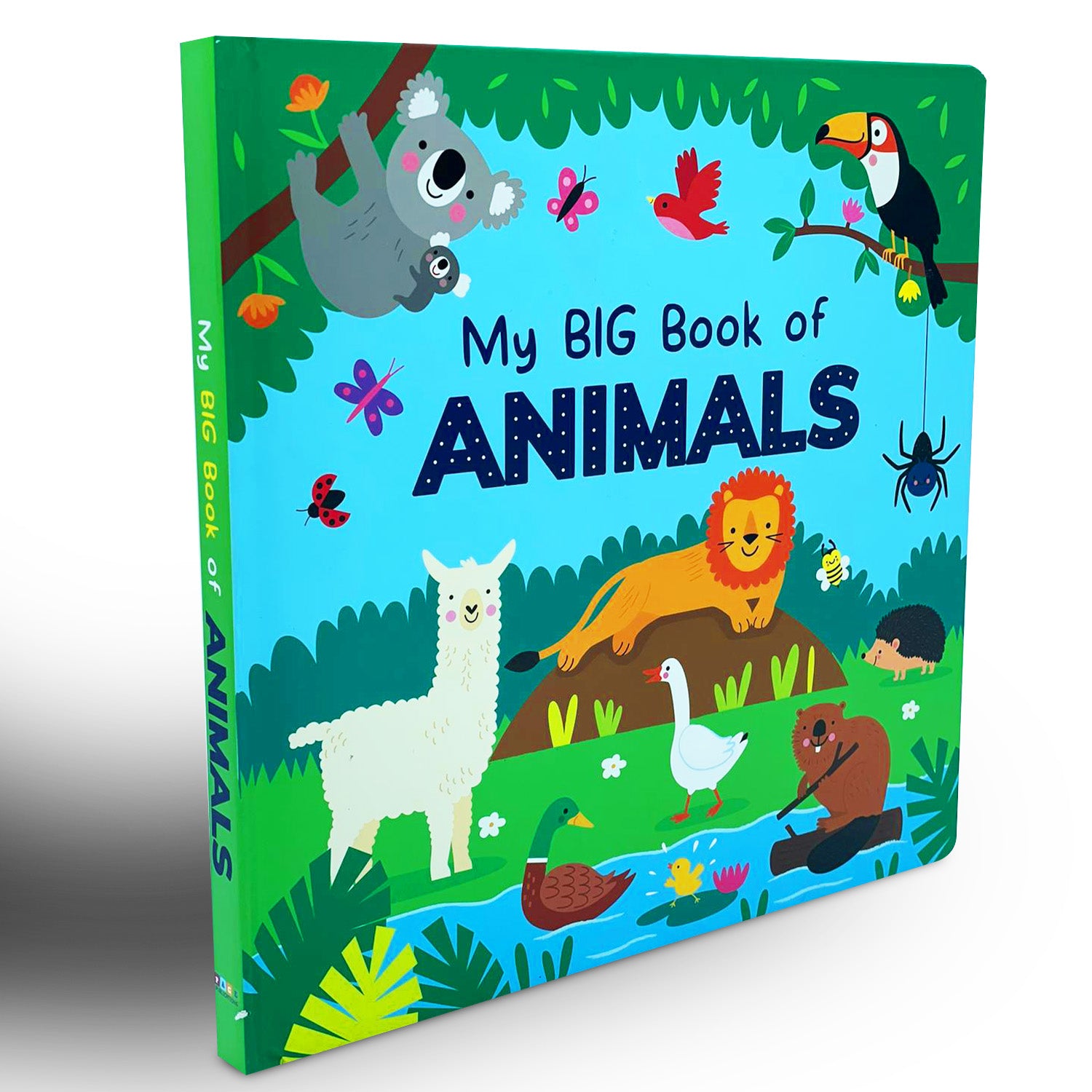 My Big Book of Animals (Board Book)